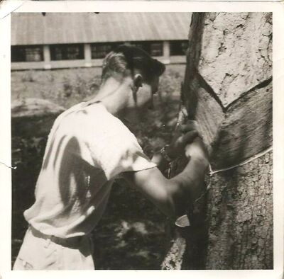 Keywords: John Lewis;Les Drodge;RAF Changi;1950s
