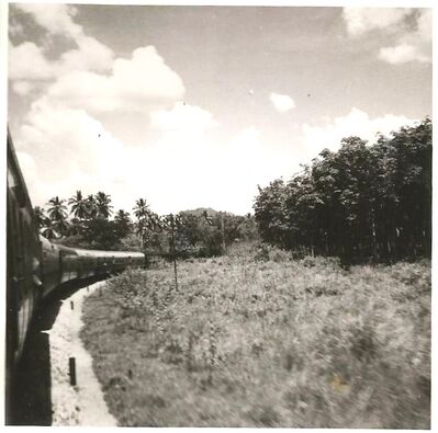 Keywords: John Lewis;Les Drodge;RAF Changi;1950s