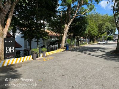 Tanglin-Dempsey_003_28Custom29.JPG
