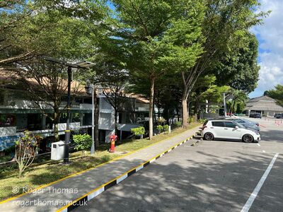 Tanglin-Dempsey_005_28Custom29.JPG