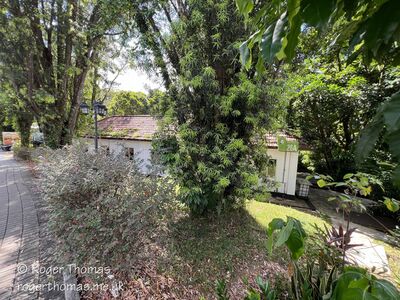 Tanglin-Dempsey_020_28Custom29.JPG