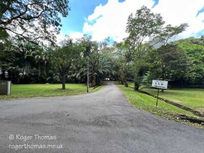 Tanglin-Dempsey_041_28Custom29.JPG