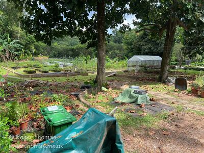 Tanglin-Dempsey_056_28Custom29.JPG