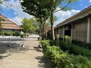 Tanglin-Dempsey_002_28Custom29.JPG