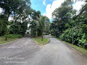 Tanglin-Dempsey_037.JPG