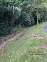 Tanglin-Dempsey_042_28Custom29.JPG