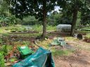 Tanglin-Dempsey_056_28Custom29.JPG