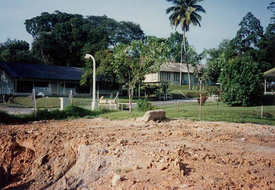 Royal Naval Base School Showing site pre for new buildings
RN School. Photo.  Showing site preparation for new buildings.
