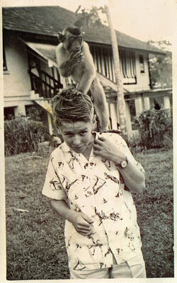 Our pet monkey
1961. Our pet monkey 'Beppy' going for a walk from Fiji Road with Pete. He could usually be trusted to go off lead but on one occasion escaping his lead from home Beppy managed to find the nearby Tennis Courts where he proceeded to unscrew the huge floodlight bulbs. Most people on the Naval Base around 60-61 will know of 'Beppy' and his antics. 
