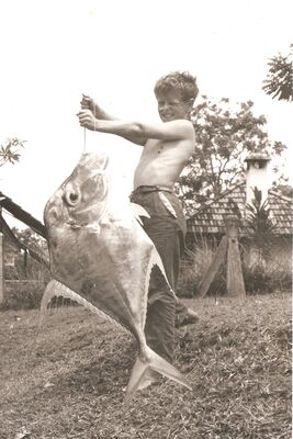 Singapore Naval Base - Fishing in the Dockyard
1964. Colin Banks holding up an Ikan Cermin (Malay name) caught whist fishing from a floating dock in the Naval Dockyard. A little bit of trick photography has been used for fun but it was a nice big fish. Because they are a flat and thin fish they are able to put up a tremendous fight when caught.
Keywords: Ikan; fishing; chermin; floating dock; 