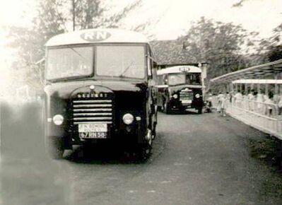 Royal Naval Base School 1958
RN School 1958. A fleet of Royal Naval Bedford coaches pick up the school children after school to deliver them home at the four corners of Singapore.  

