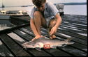 14_-_183_Fishing_Beaulieu.JPG